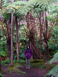 Lori gets rained on in the rain forest