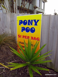 Pony poo and sheep poo signs were prevalent