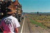 Typical outback road construction