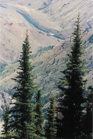 Looking down at the Snake River