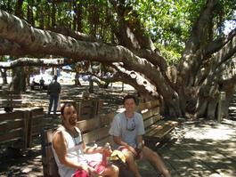 Hiding from the sun; lunch under the banyan tree