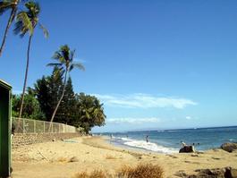 Check the beach for babes. Hmmm, nothing.