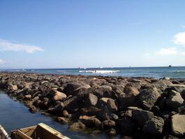 Watch the surfers for a while