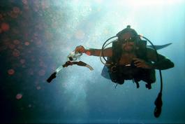 A well-dressed diver