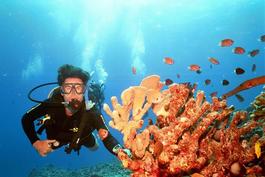 NOT holding the coral