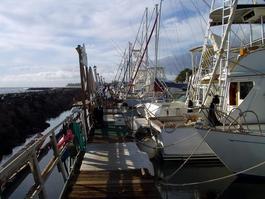 Heading back up the dock