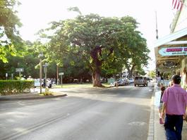 Heading back up Front St., the main street through town