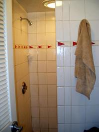 Great showers at LYC