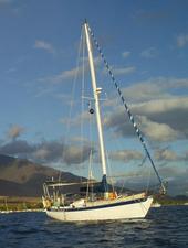 Wishful Thinking, Lahaina in background