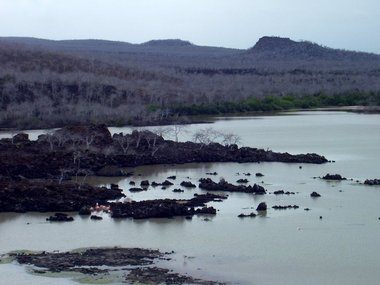 Flamingoes from afar, and the island's topography