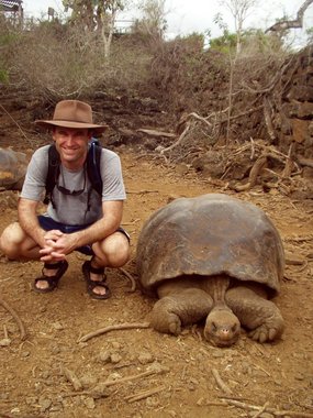 Tortoise and Bill