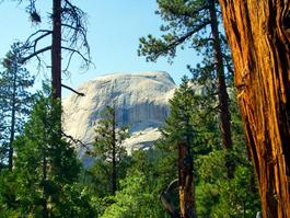 Half Dome, our destination