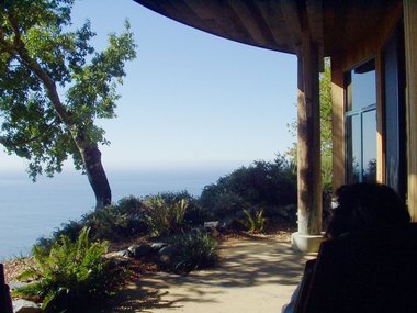 Private patio (save for the birds and the bees)