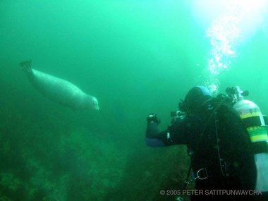 Scott boxes with a seal