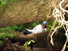 Sara clambors over the fallen tree