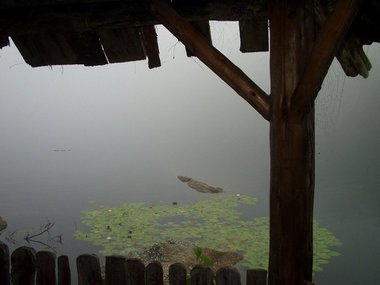 Lilies from another Myst-like gazebo