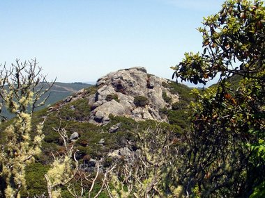 Rocky outcrop