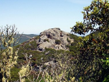 Rocky outcrop