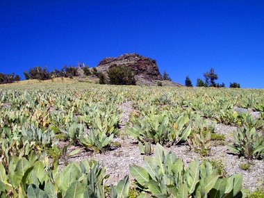 Same rock formation below Rifle Peak