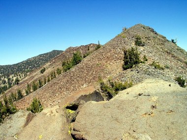 Rose Knob Peak