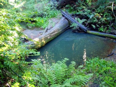 Opal Creek