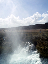 Mist generated by the blowhole