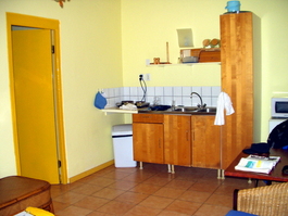 A European-style kitchen