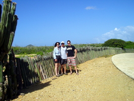 Fences made out of cactus help to keep out feral donkeys and goats