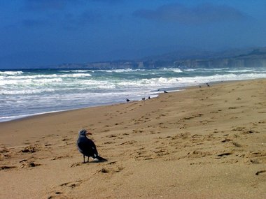 The San Gregario coastline