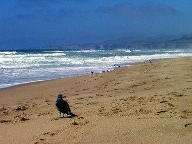 The San Gregario coastline