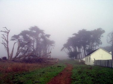 The trail begins at the Pierce Point Ranch