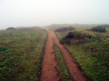 The trail continues on through the mist