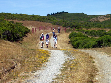 The group descends easily along Fifield Ridge