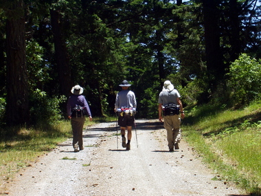 Lori, Milon, and David follow the yellow brick road