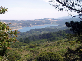 Lower Crystal Springs Reservoir