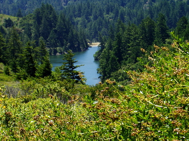 My first glance at Pilarcitos Reservoir--a rare treat!