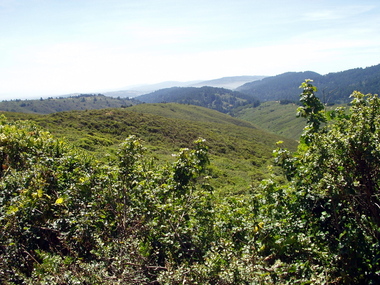 Sawyer and Cahill Ridges and lots of evidence of faults