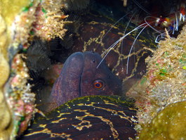 Close-up of the same scene