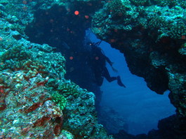 Lori approaches a swim-through