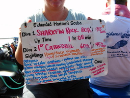 A nice description of the dives, although I later learned that you need to dry the lens topside!