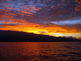 I couldn't decide which one was better, so take both!