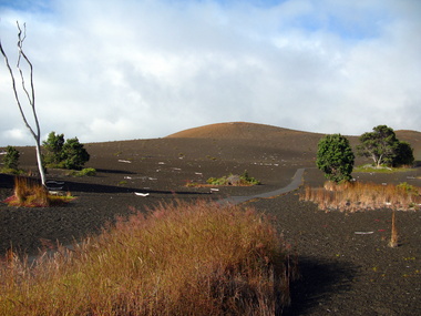 Devastation trail