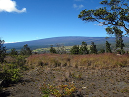 Mauna Loa