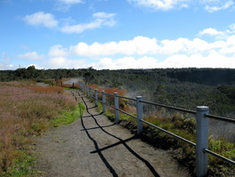 Steam vents
