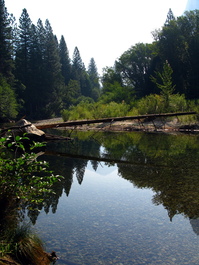 The south fork of the Kings River