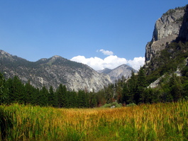 Zumwalt Meadow with Buck Peak in the background