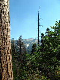 The smoke has lifted and we can actually see Buena Vista Peak now