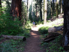 Lori slogs up the trail
