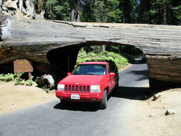 Tunnel Log