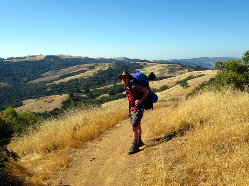 Bill halfway up; looking tired